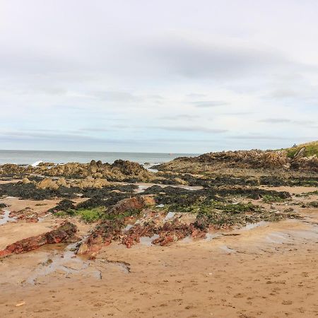 Coldingham Meadow Lodge المظهر الخارجي الصورة