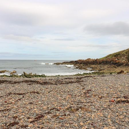 Coldingham Meadow Lodge المظهر الخارجي الصورة