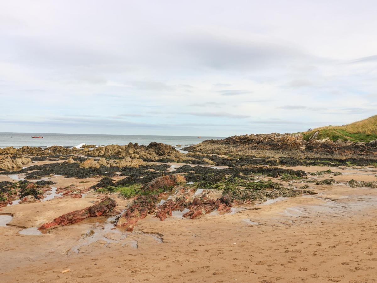 Coldingham Meadow Lodge المظهر الخارجي الصورة