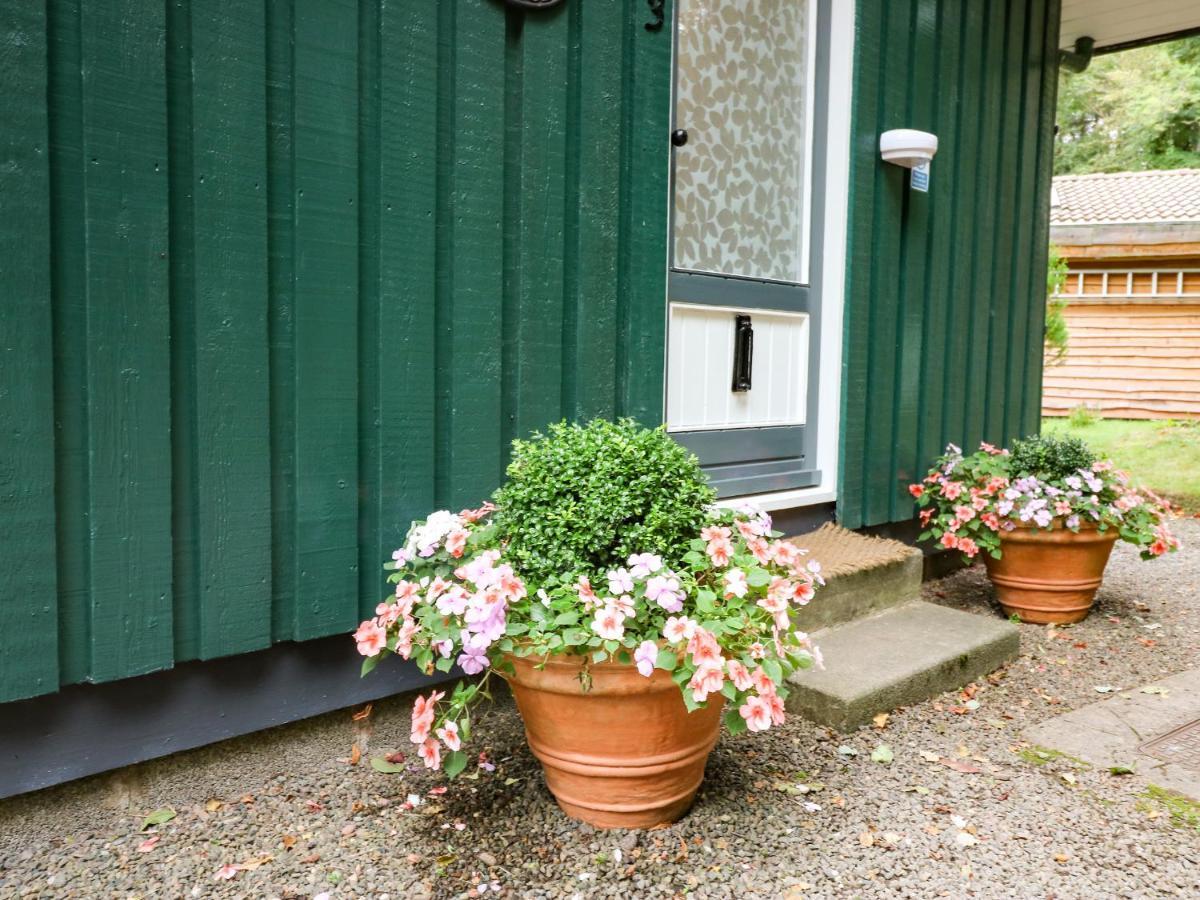 Coldingham Meadow Lodge المظهر الخارجي الصورة